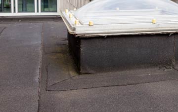 disadvantages of West Ferry flat roofs