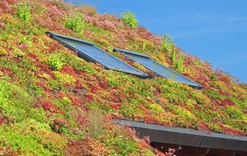 West Ferry living roof systems
