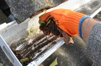 rated West Ferry gutter cleaning companies