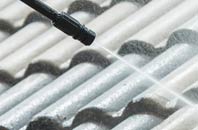 rated West Ferry roof cleaning companies